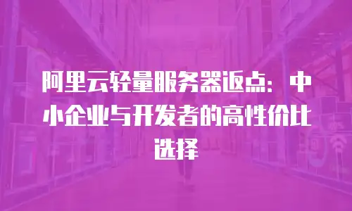 阿里云轻量服务器返点：中小企业与开发者的高性价比选择