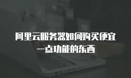 阿里云服务器如何购买便宜一点功能的东西