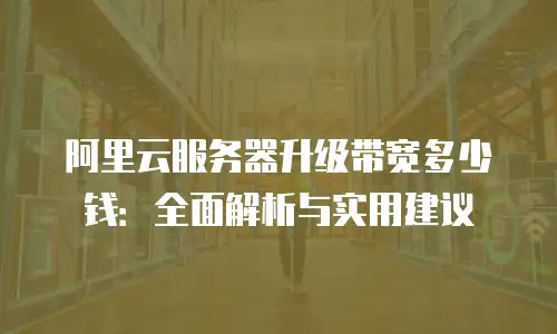 阿里云服务器升级带宽多少钱：全面解析与实用建议