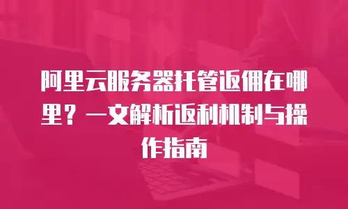 阿里云服务器托管返佣在哪里？一文解析返利机制与操作指南