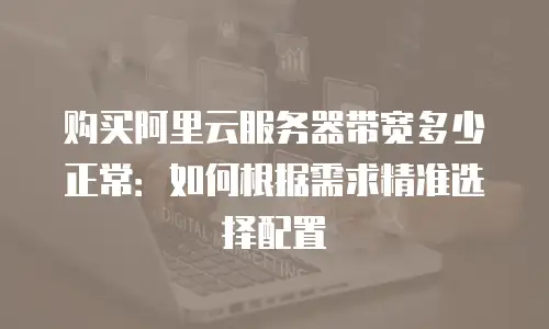 购买阿里云服务器带宽多少正常：如何根据需求精准选择配置