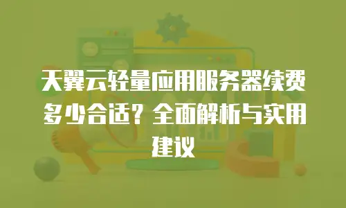 天翼云轻量应用服务器续费多少合适？全面解析与实用建议
