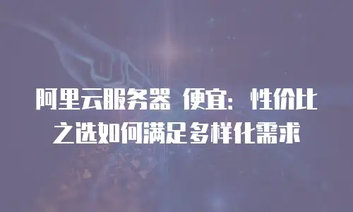 阿里云服务器 便宜：性价比之选如何满足多样化需求