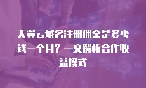天翼云域名注册佣金是多少钱一个月？一文解析合作收益模式