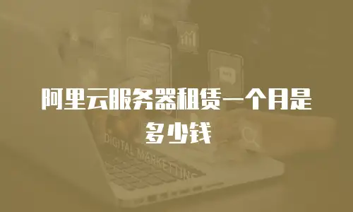 阿里云服务器租赁一个月是多少钱