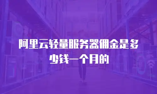 阿里云轻量服务器佣金是多少钱一个月的
