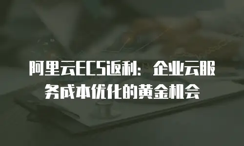 阿里云ECS返利：企业云服务成本优化的黄金机会