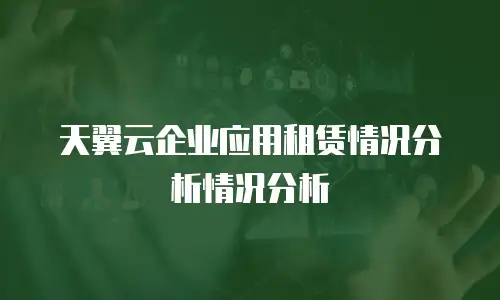 天翼云企业应用租赁情况分析情况分析