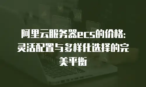 阿里云服务器ecs的价格：灵活配置与多样化选择的完美平衡