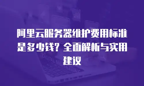 阿里云服务器维护费用标准是多少钱？全面解析与实用建议