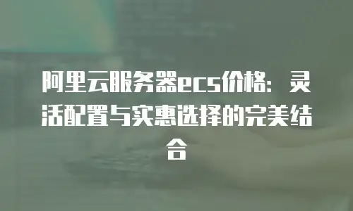 阿里云服务器ecs价格：灵活配置与实惠选择的完美结合
