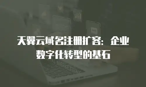 天翼云域名注册扩容：企业数字化转型的基石