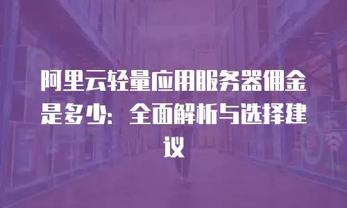 阿里云轻量应用服务器佣金是多少：全面解析与选择建议