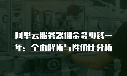 阿里云服务器佣金多少钱一年：全面解析与性价比分析
