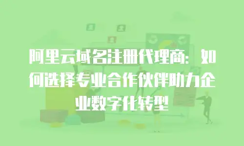 阿里云域名注册代理商：如何选择专业合作伙伴助力企业数字化转型