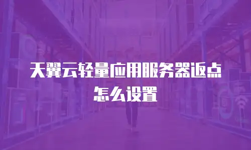 天翼云轻量应用服务器返点怎么设置
