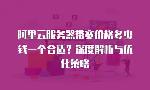阿里云服务器带宽价格多少钱一个合适？深度解析与优化策略