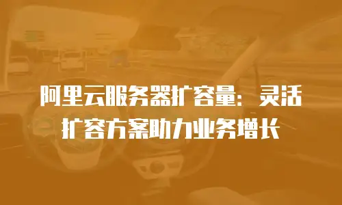 阿里云服务器扩容量：灵活扩容方案助力业务增长