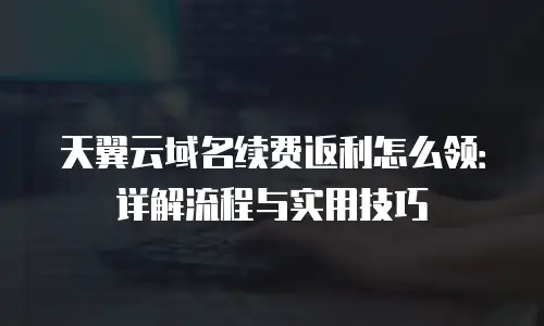 天翼云域名续费返利怎么领：详解流程与实用技巧