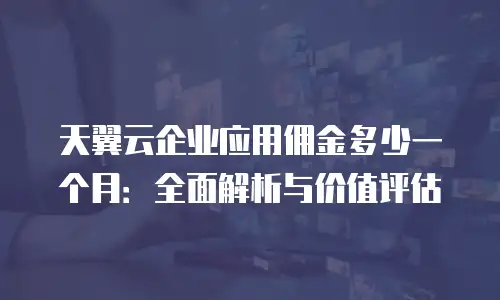 天翼云企业应用佣金多少一个月：全面解析与价值评估