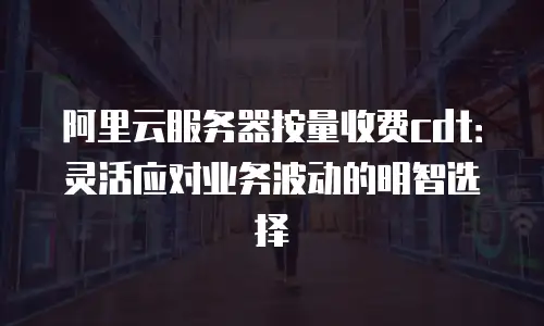 阿里云服务器按量收费cdt：灵活应对业务波动的明智选择