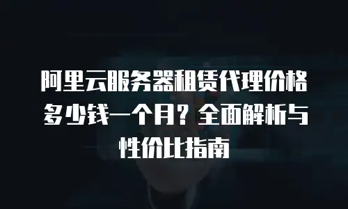 阿里云服务器租赁代理价格多少钱一个月？全面解析与性价比指南
