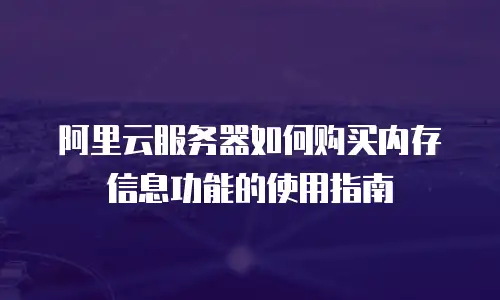 阿里云服务器如何购买内存信息功能的使用指南