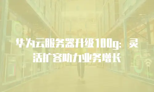 华为云服务器升级100g：灵活扩容助力业务增长