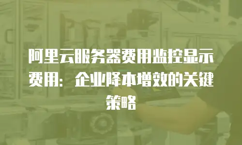 阿里云服务器费用监控显示费用：企业降本增效的关键策略