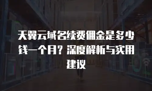 天翼云域名续费佣金是多少钱一个月？深度解析与实用建议