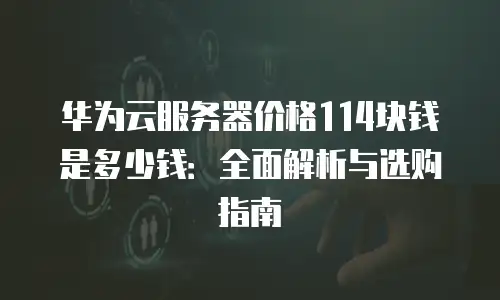 华为云服务器价格114块钱是多少钱：全面解析与选购指南