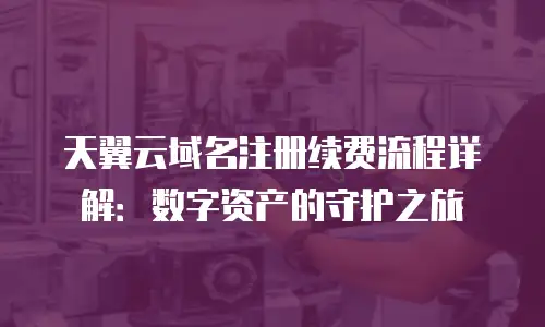 天翼云域名注册续费流程详解：数字资产的守护之旅