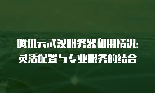 腾讯云武汉服务器租用情况：灵活配置与专业服务的结合