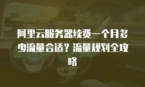 阿里云服务器续费一个月多少流量合适？流量规划全攻略