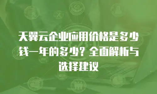 天翼云企业应用价格是多少钱一年的多少？全面解析与选择建议