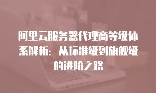 阿里云服务器代理商等级体系解析：从标准级到旗舰级的进阶之路