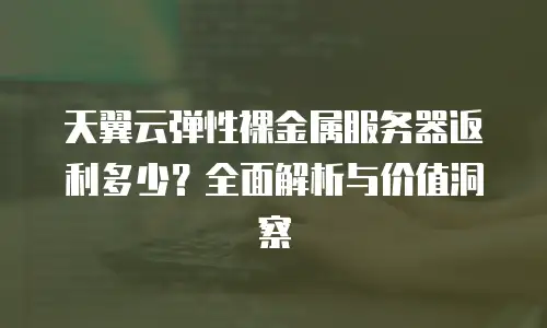 天翼云弹性裸金属服务器返利多少？全面解析与价值洞察