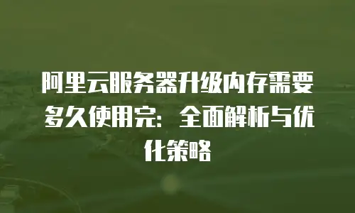阿里云服务器升级内存需要多久使用完：全面解析与优化策略