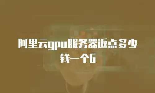 阿里云gpu服务器返点多少钱一个G