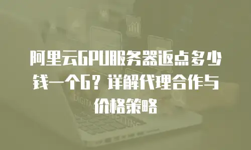 阿里云GPU服务器返点多少钱一个G？详解代理合作与价格策略
