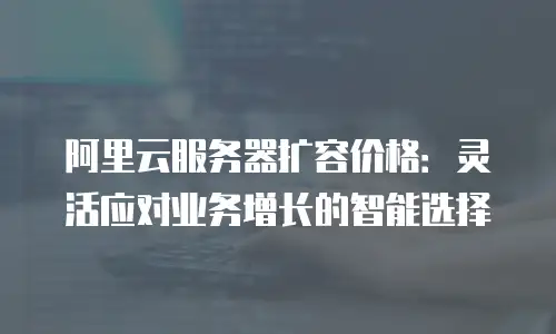 阿里云服务器扩容价格：灵活应对业务增长的智能选择