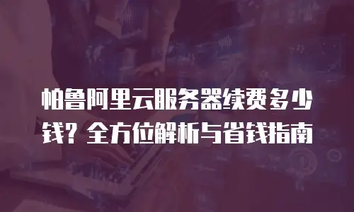 帕鲁阿里云服务器续费多少钱？全方位解析与省钱指南