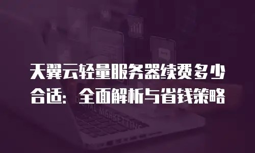 天翼云轻量服务器续费多少合适：全面解析与省钱策略
