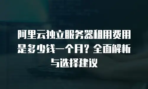 阿里云独立服务器租用费用是多少钱一个月？全面解析与选择建议