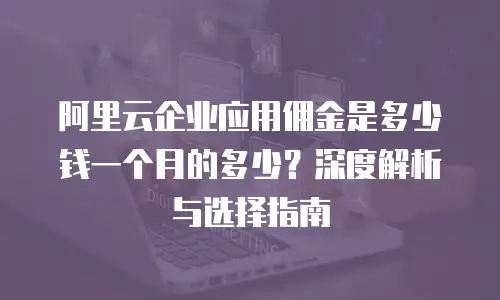 阿里云企业应用佣金是多少钱一个月的多少？深度解析与选择指南