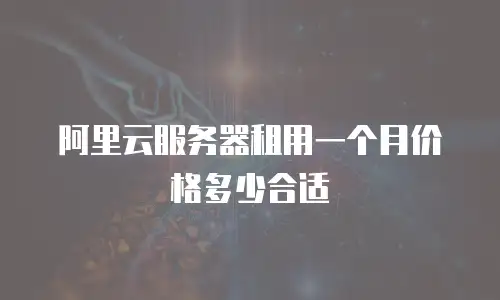 阿里云服务器租用一个月价格多少合适