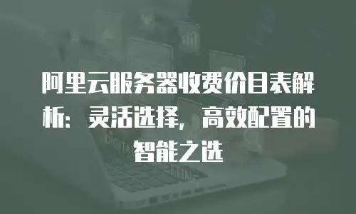 阿里云服务器收费价目表解析：灵活选择，高效配置的智能之选