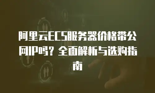 阿里云ECS服务器价格带公网IP吗？全面解析与选购指南