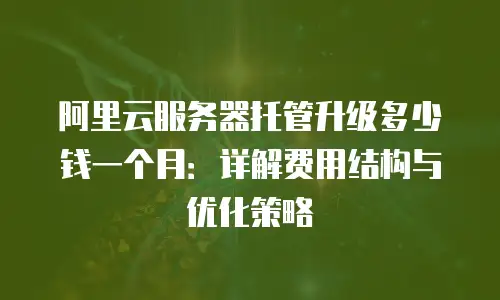 阿里云服务器托管升级多少钱一个月：详解费用结构与优化策略