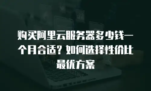 购买阿里云服务器多少钱一个月合适？如何选择性价比最优方案